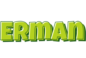Erman summer logo