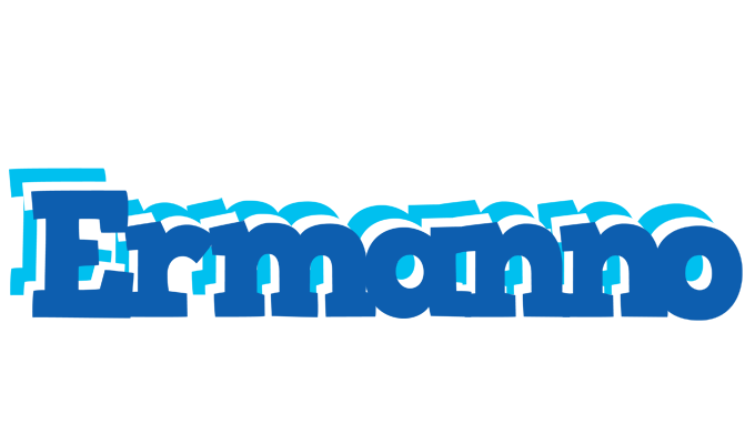 Ermanno business logo