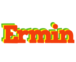 Ermin bbq logo