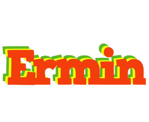 Ermin bbq logo
