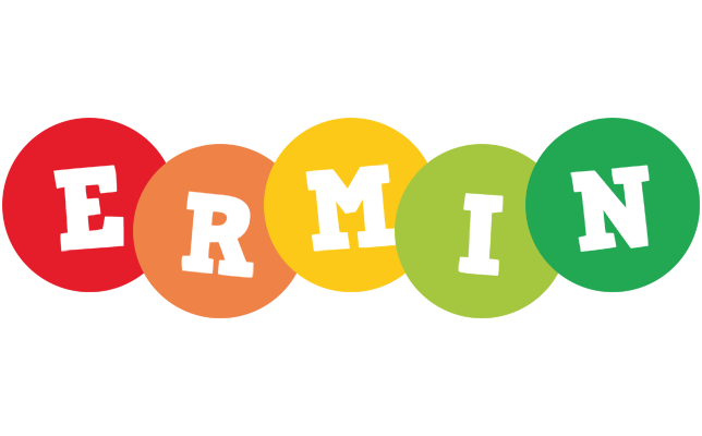 Ermin boogie logo