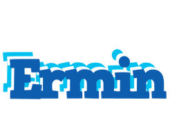 Ermin business logo