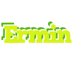 Ermin citrus logo