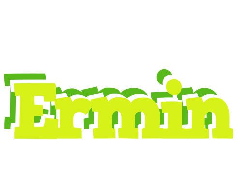 Ermin citrus logo