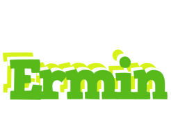 Ermin picnic logo