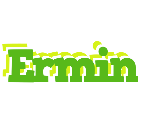 Ermin picnic logo