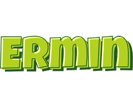 Ermin summer logo