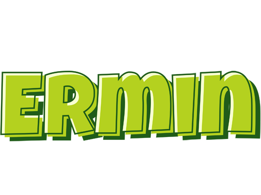 Ermin summer logo