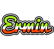 Ermin superfun logo