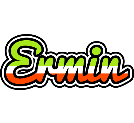 Ermin superfun logo