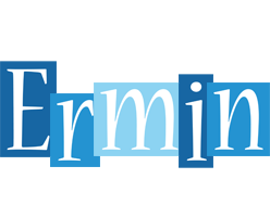 Ermin winter logo