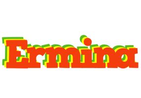 Ermina bbq logo