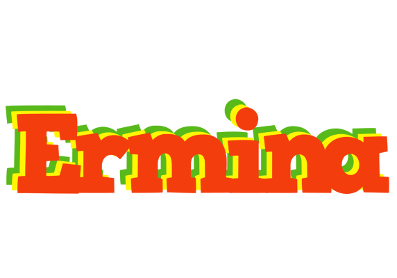 Ermina bbq logo