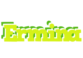 Ermina citrus logo