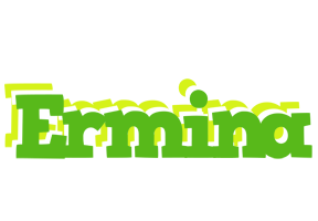 Ermina picnic logo