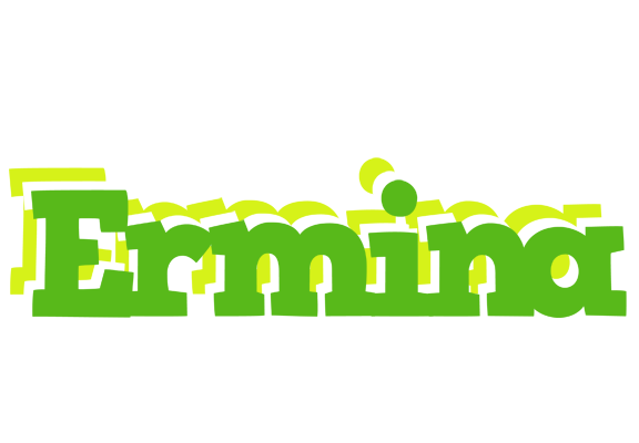 Ermina picnic logo