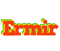 Ermir bbq logo