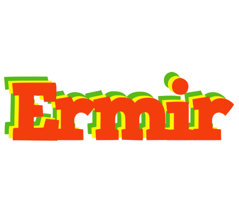 Ermir bbq logo