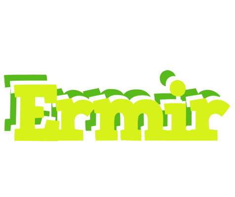 Ermir citrus logo