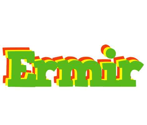 Ermir crocodile logo