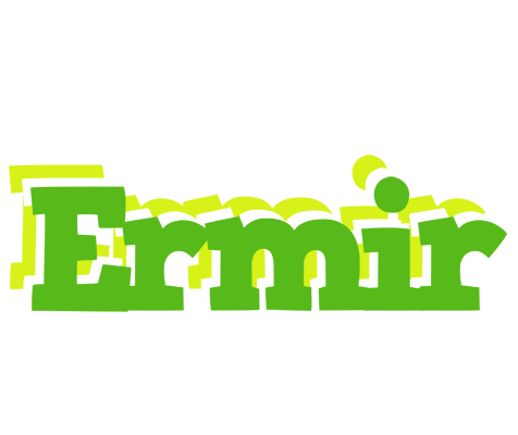 Ermir picnic logo