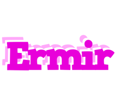 Ermir rumba logo