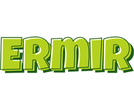 Ermir summer logo