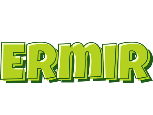 Ermir summer logo