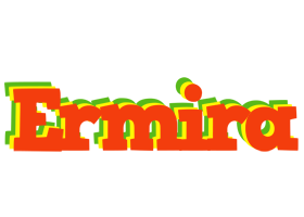 Ermira bbq logo