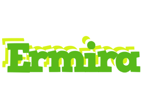 Ermira picnic logo