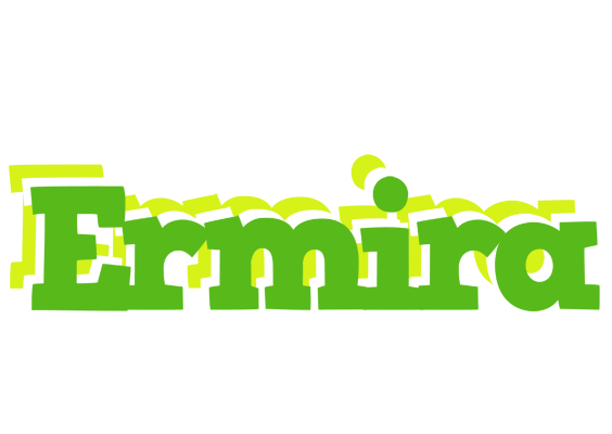 Ermira picnic logo