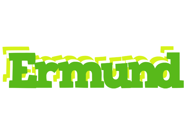 Ermund picnic logo