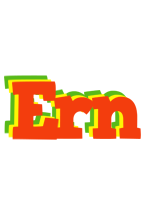 Ern bbq logo