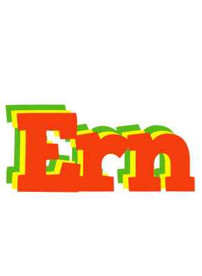 Ern bbq logo