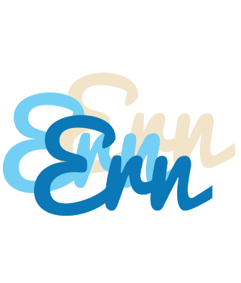 Ern breeze logo