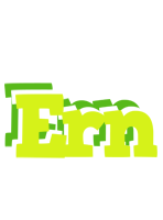 Ern citrus logo