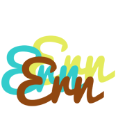 Ern cupcake logo