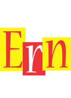 Ern errors logo