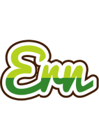 Ern golfing logo