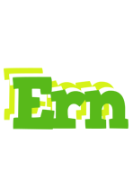 Ern picnic logo