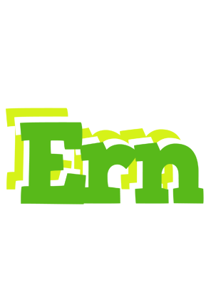 Ern picnic logo