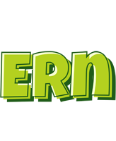 Ern summer logo