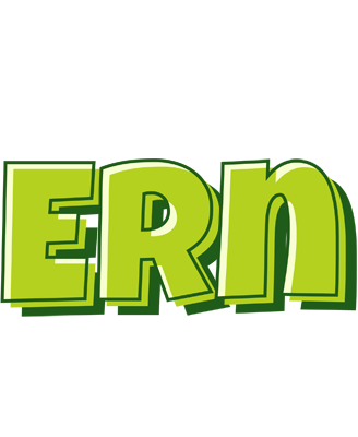 Ern summer logo