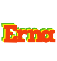 Erna bbq logo