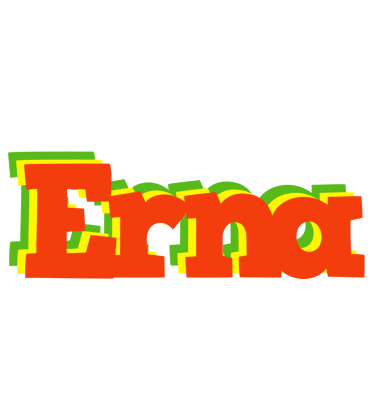 Erna bbq logo