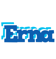 Erna business logo