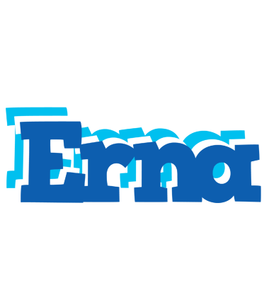 Erna business logo