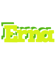 Erna citrus logo