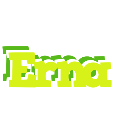 Erna citrus logo
