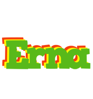 Erna crocodile logo